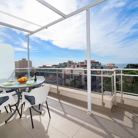 Olta View Apartament