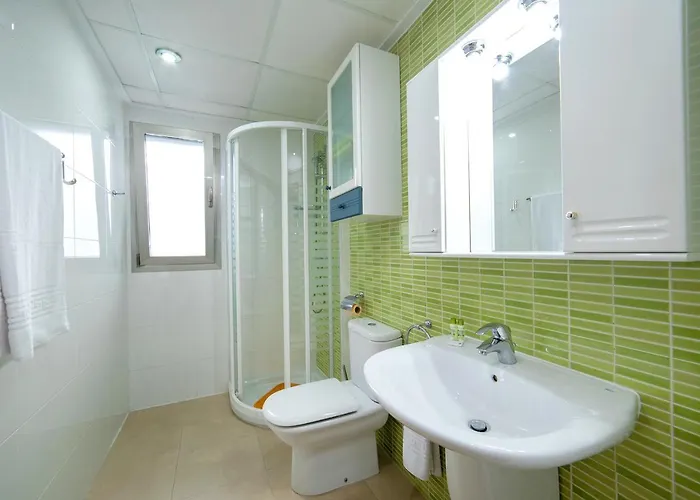 Olta View Apartament *